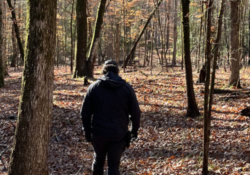 Someone Walking through a forest