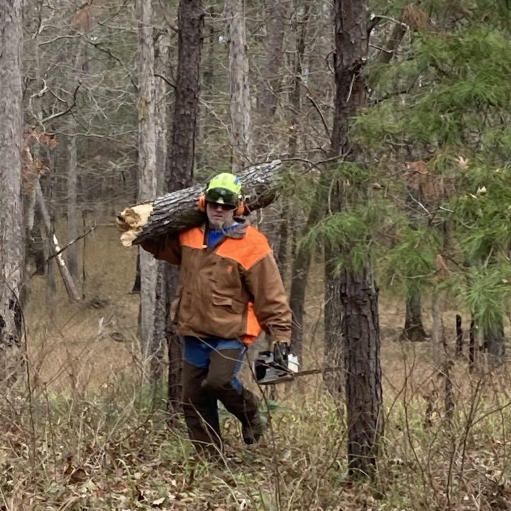 Man Carrying log